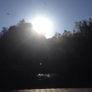 Meet your Posher, Jenny